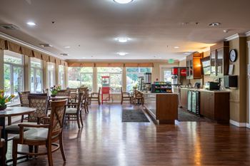 Coffee & snack bar in garden cafe